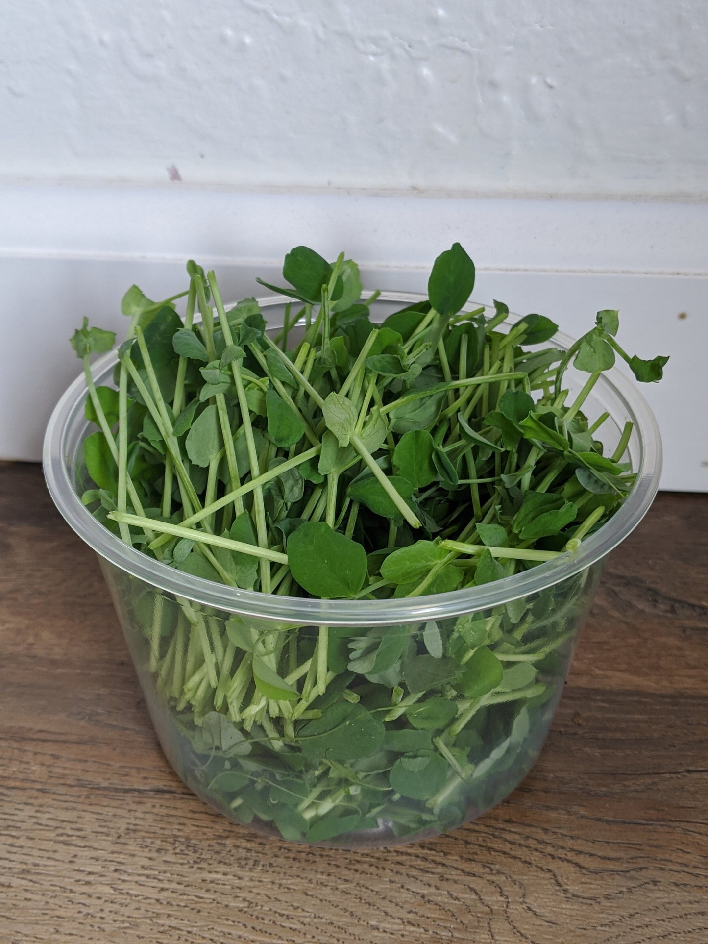 Pea Shoot Microgreens