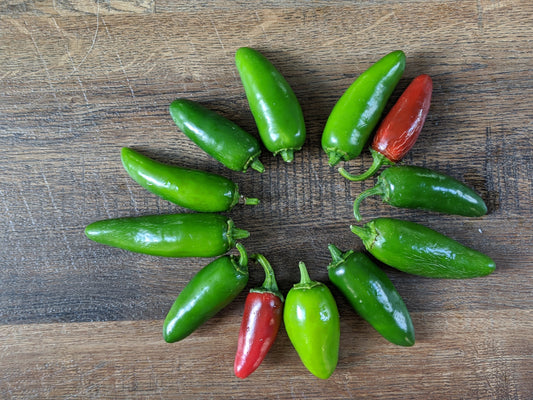 Jalapenos