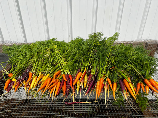 Carrots