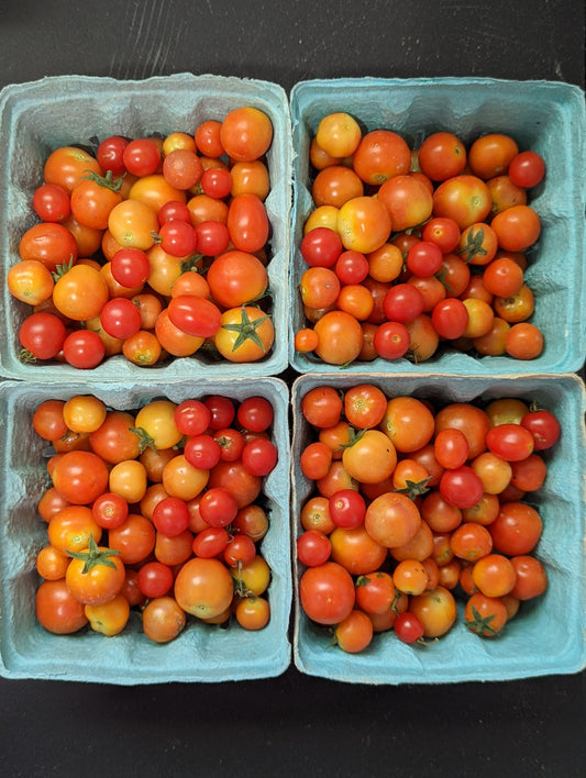 Tomatoes