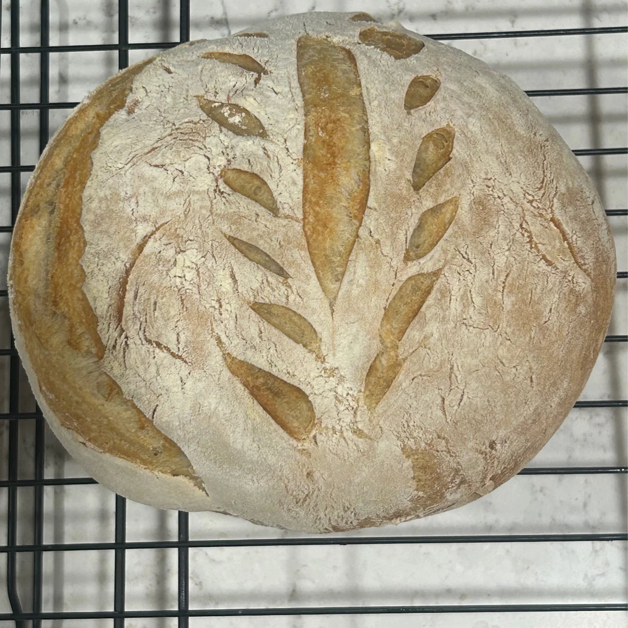Fresh Milled Sourdough Breads - Chick & Egg Co.