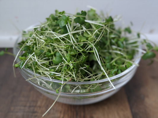 Spicy Salad Mix Microgreens