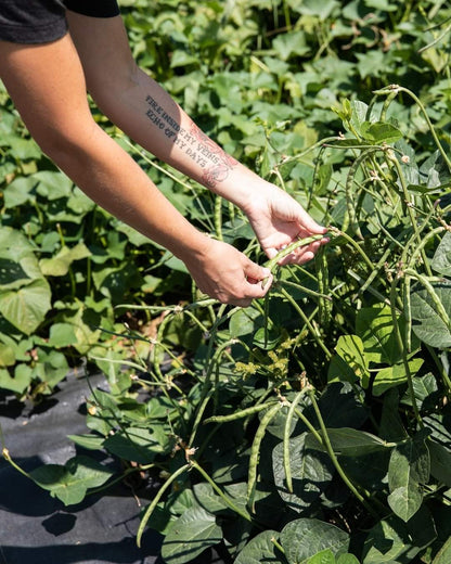 Gardening Class, March 22nd @ 1 PM