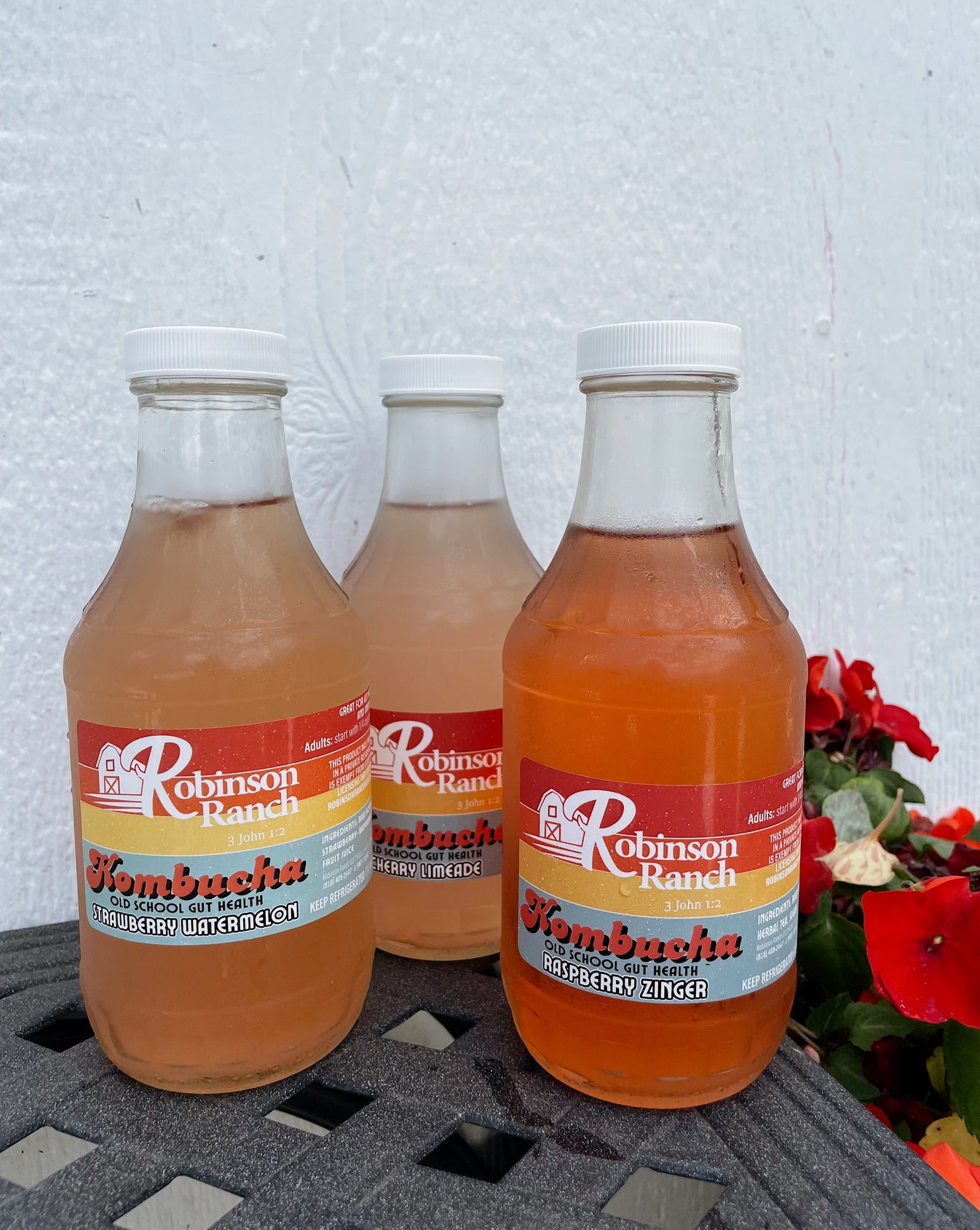 Kombucha - Small Batch – Robinson Ranch
