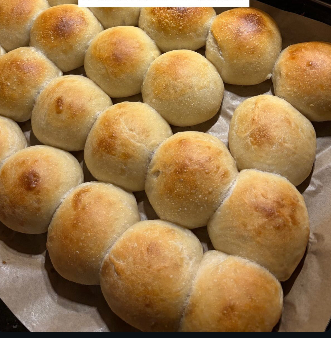 Sourdough Dinner Rolls - Bloom and Bliss