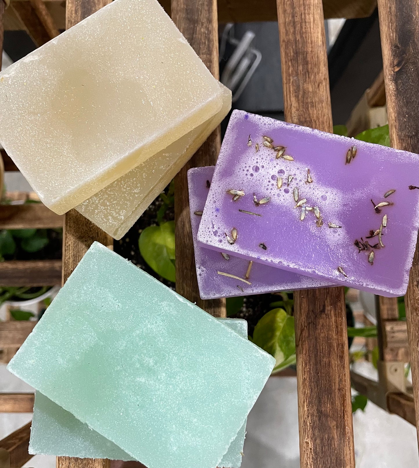 Shampoo Bars - Robinson Ranch