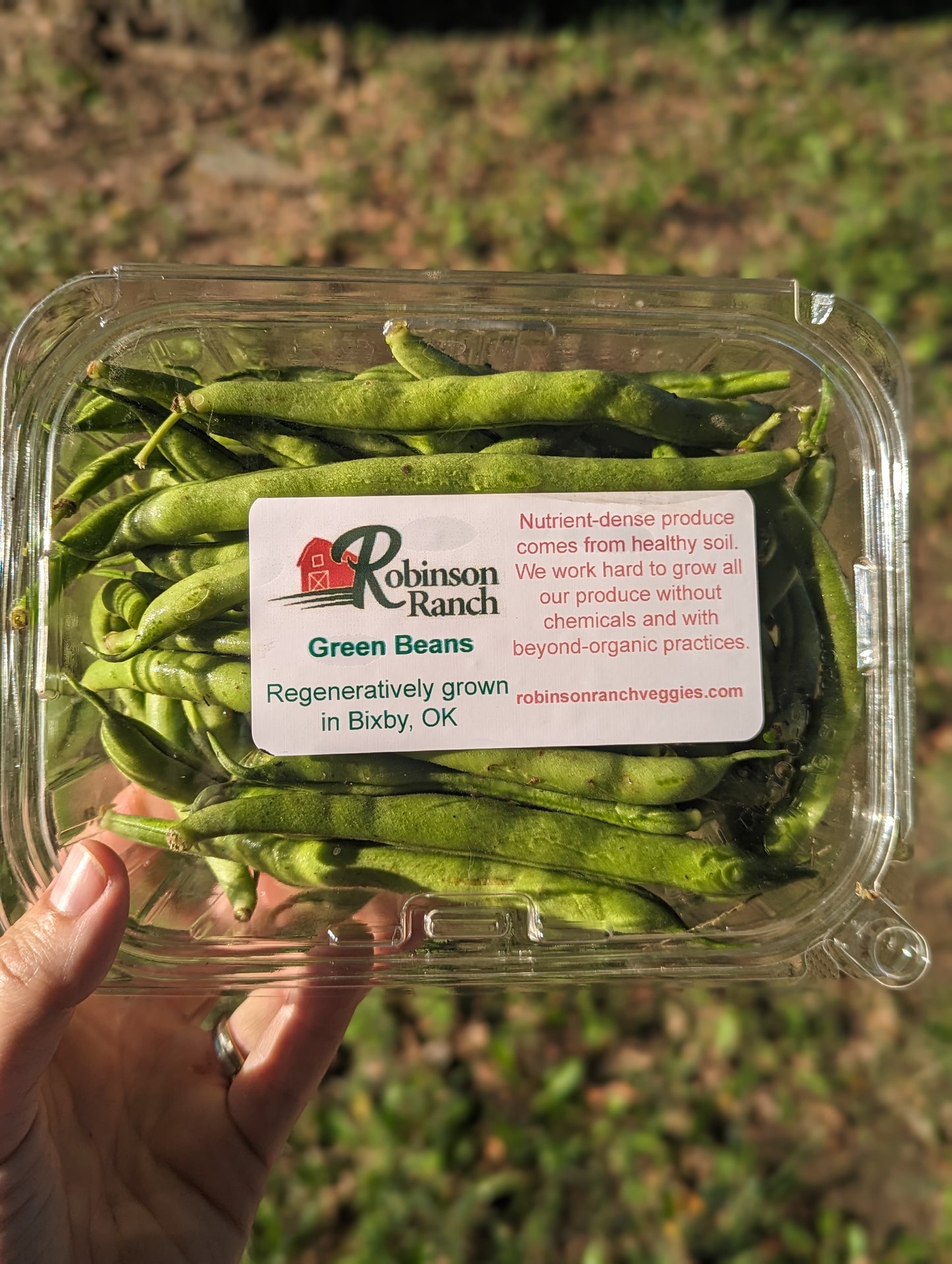 Green Beans