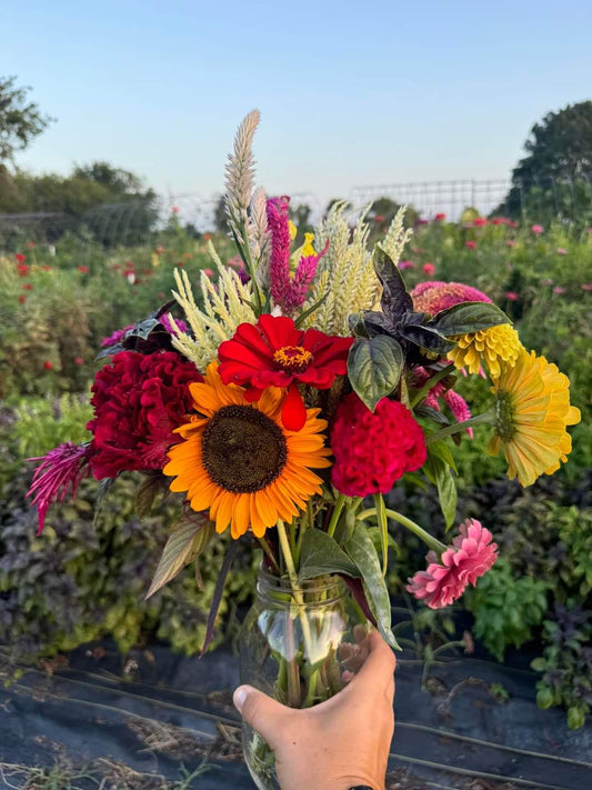 Gardening Plant Kits Spring 2026 (preorder for April 4th)